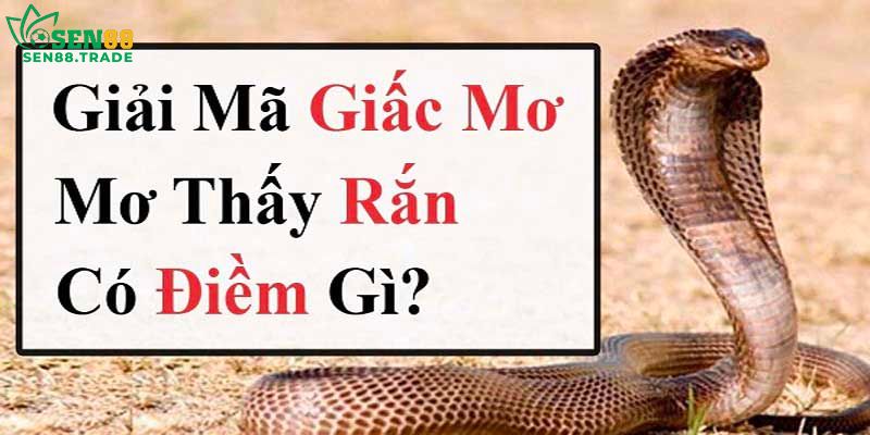 Giải mã tình huống mơ thấy rắn thường gặp