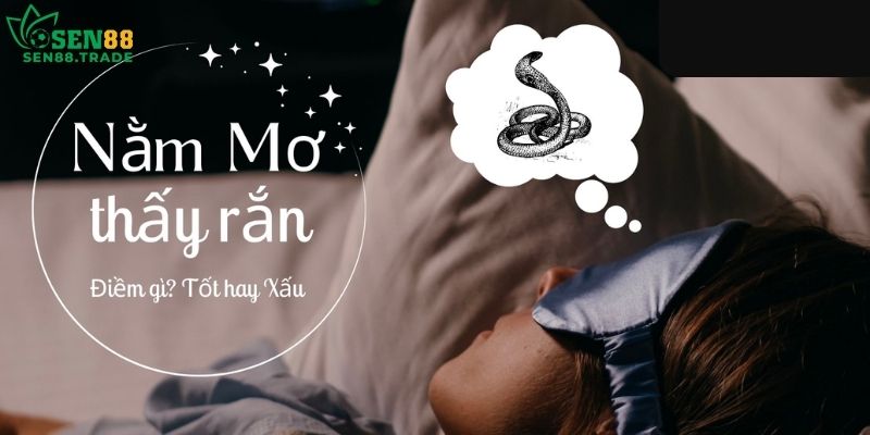 Mơ thấy rắn là điềm gì nếu bị cắn?