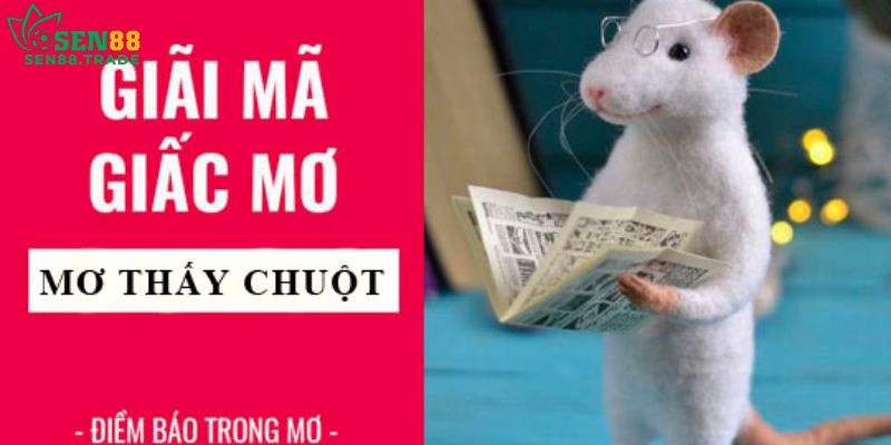 Giải mã những giấc mơ thấy chuột hay xuất hiện nhất 