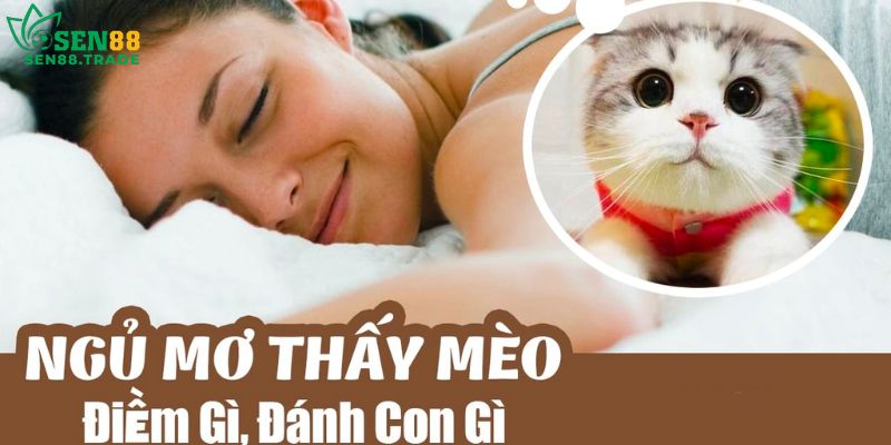 Mơ thấy mèo đánh số mấy để thắng giải lớn