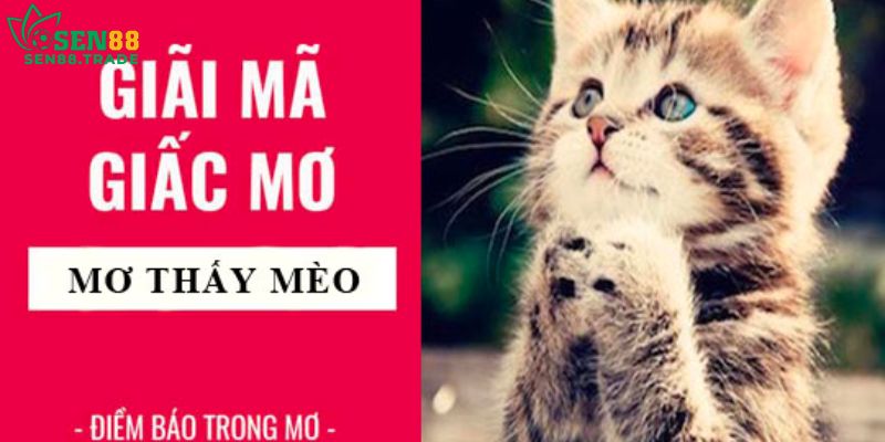 Chiêm bao thấy mèo chết