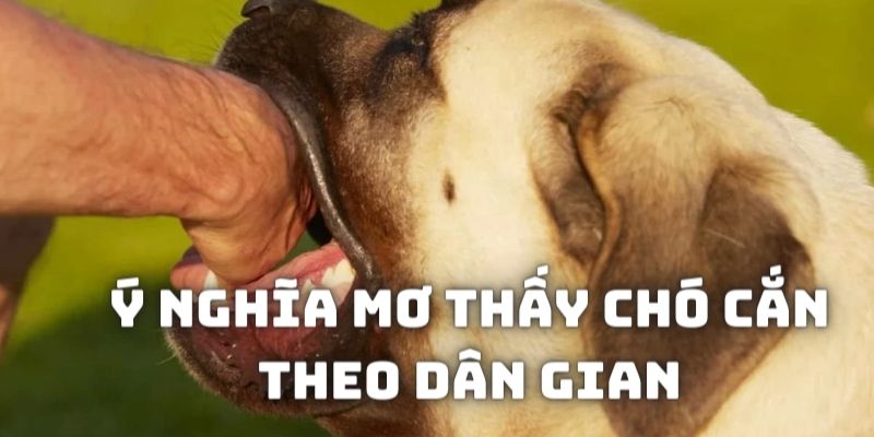 Chiêm bao bị chó cắn vào mặt